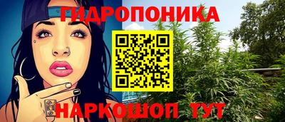 PSILOCYBIN Кимры