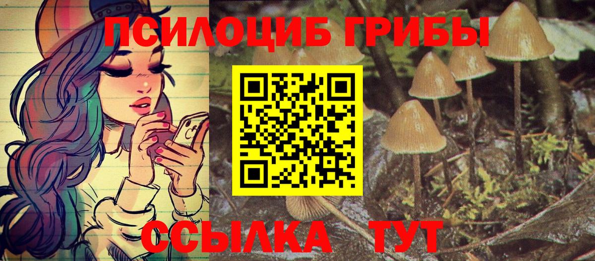 Псилоцибиновые грибы Magic Shrooms  Вход с VPN  Котлас 